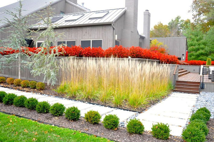 Modern Garden Design Backyard, Gardening And Landscaping Courses