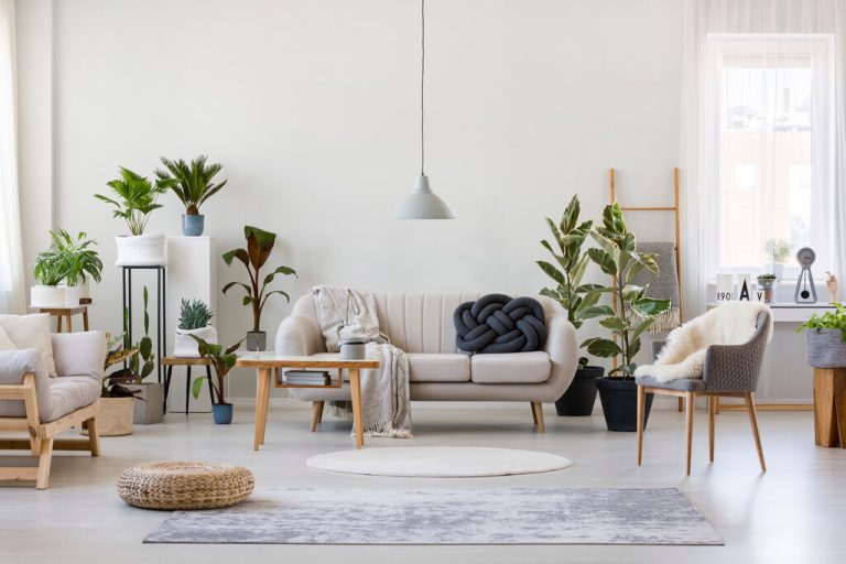 Feng Shui Nedir - Feng Shui Felsefesi & Dekorasyon Önerileri
