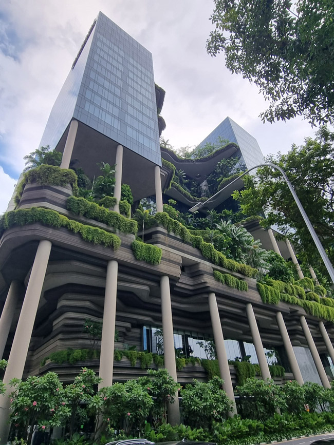 Singapore Travel Guide -18