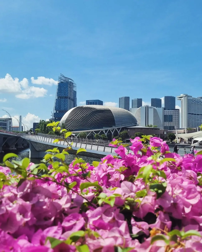 Singapore Travel Guide -2