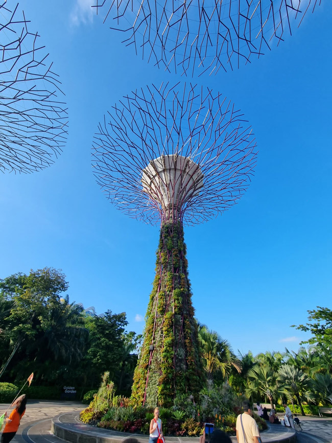 Singapore Travel Guide -9