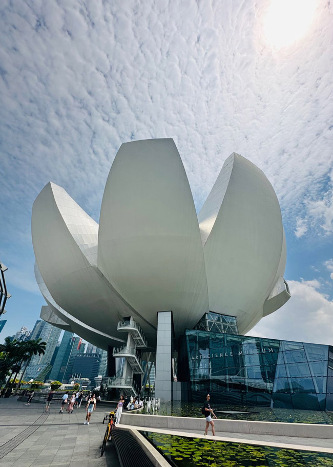 Things to do in Singapore - Art Science Museum