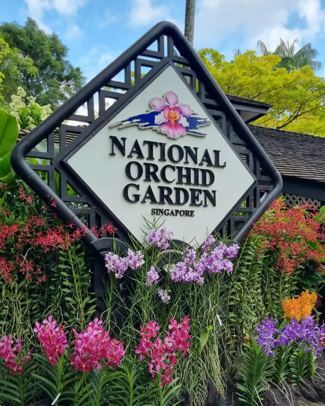 Things to do in Singapore - National Orchid Garden