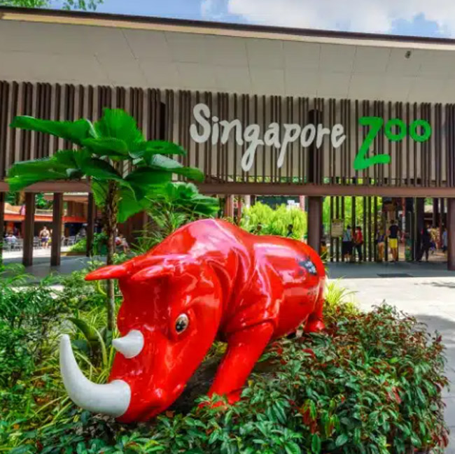 Things to do in Singapore - Singapore Zoo